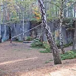 Kleis Cvikov