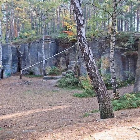 Kleis Cvikov